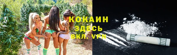 соль курить ск Арсеньев